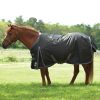 SmartPak Ultimate Pony Turnout Blanket