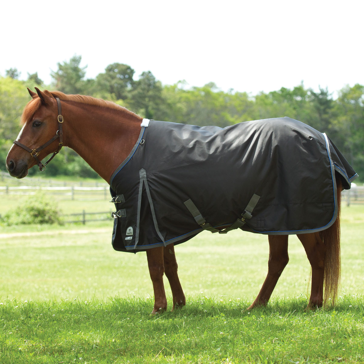 SmartPak Ultimate Pony Turnout Sheet