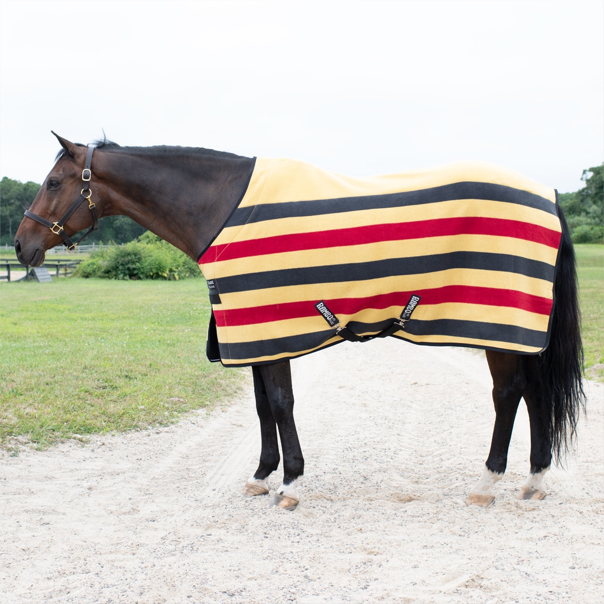 Rambo® Deluxe Fleece - Image 2