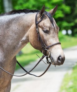SmartPak Single Ear Headstall Tie End