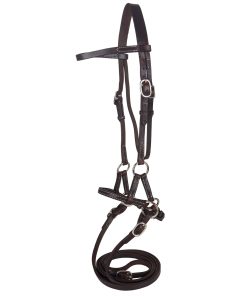 Alternative view of SmartPak Western Side Pull