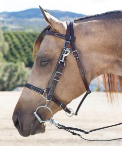 SmartPak Combo Bridle