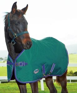 WeatherBeeta 1200D Foal Turnout Blanket