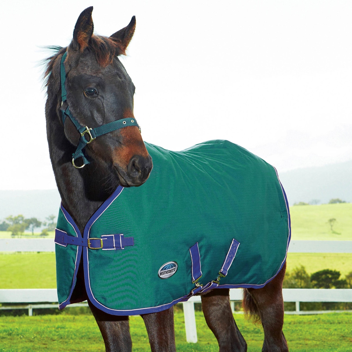 WeatherBeeta 1200D Foal Turnout Blanket