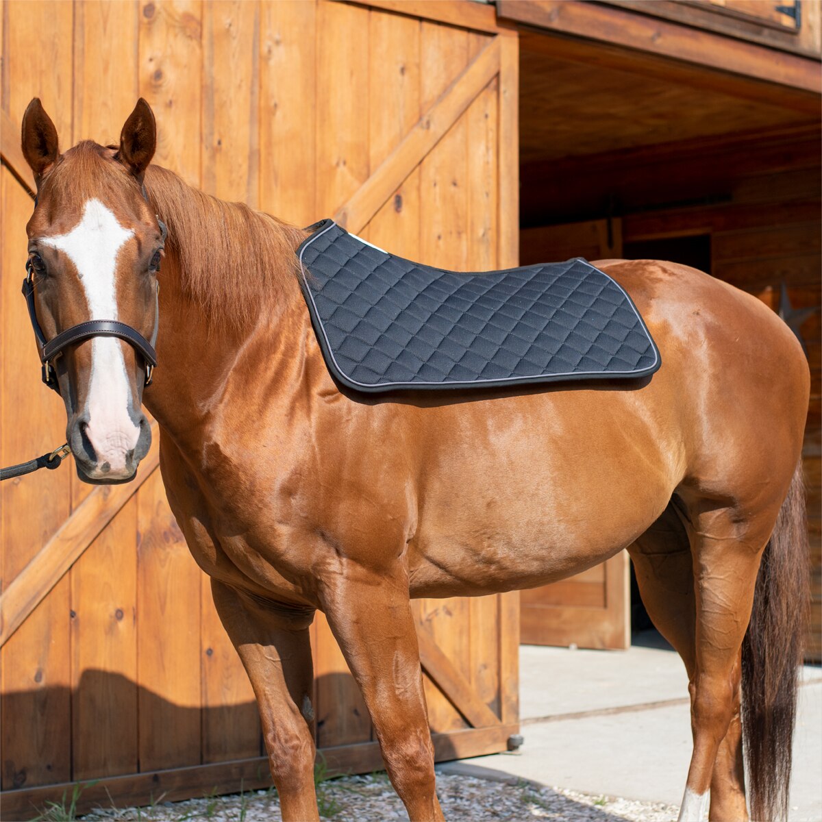 SmartTherapy® ThermoBalance® Ceramic Western Saddle Pad - Image 2