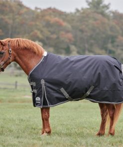 Alternative view of SmartPak Deluxe Pony Turnout Sheet with Earth Friendly Fabric