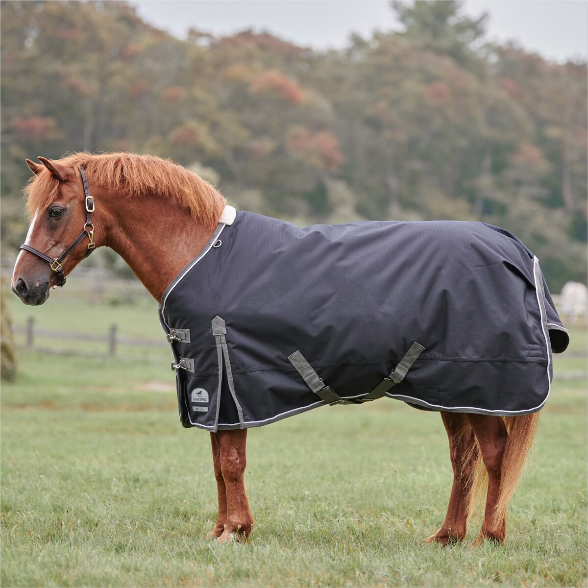 SmartPak Deluxe Pony Turnout Sheet with Earth Friendly Fabric - Image 2