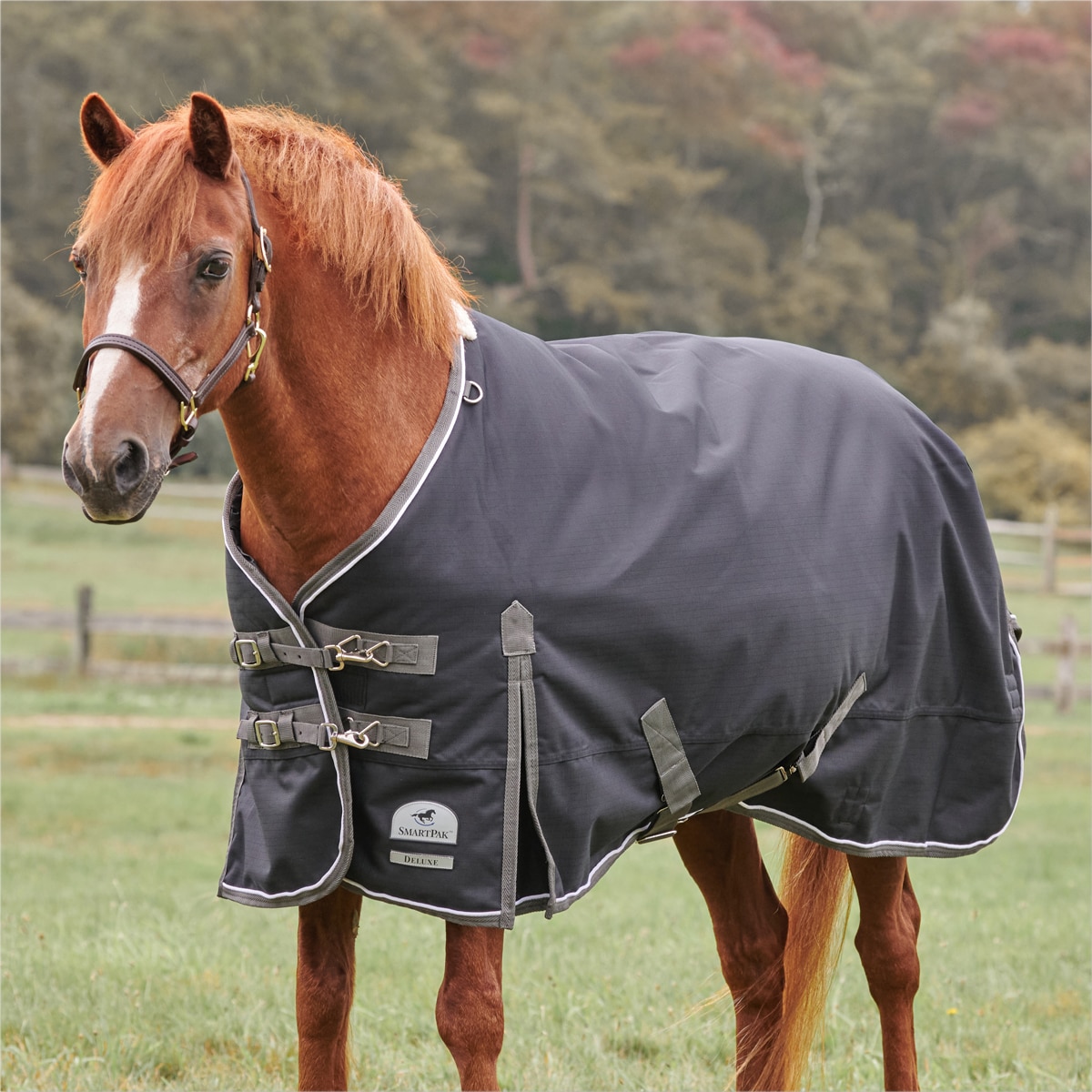 SmartPak Deluxe Pony Turnout Sheet with Earth Friendly Fabric