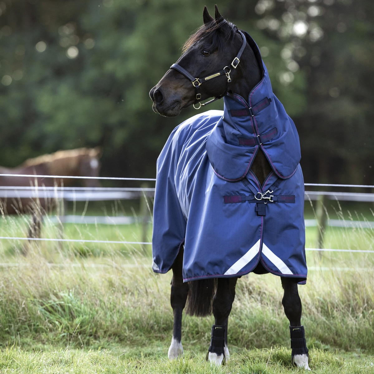 Rambo® Optimo Turnout Sheet - Image 2