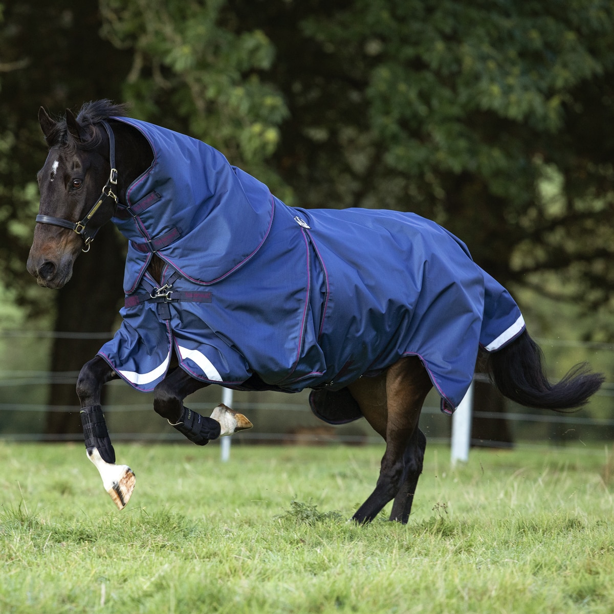 Rambo® Optimo Turnout Sheet