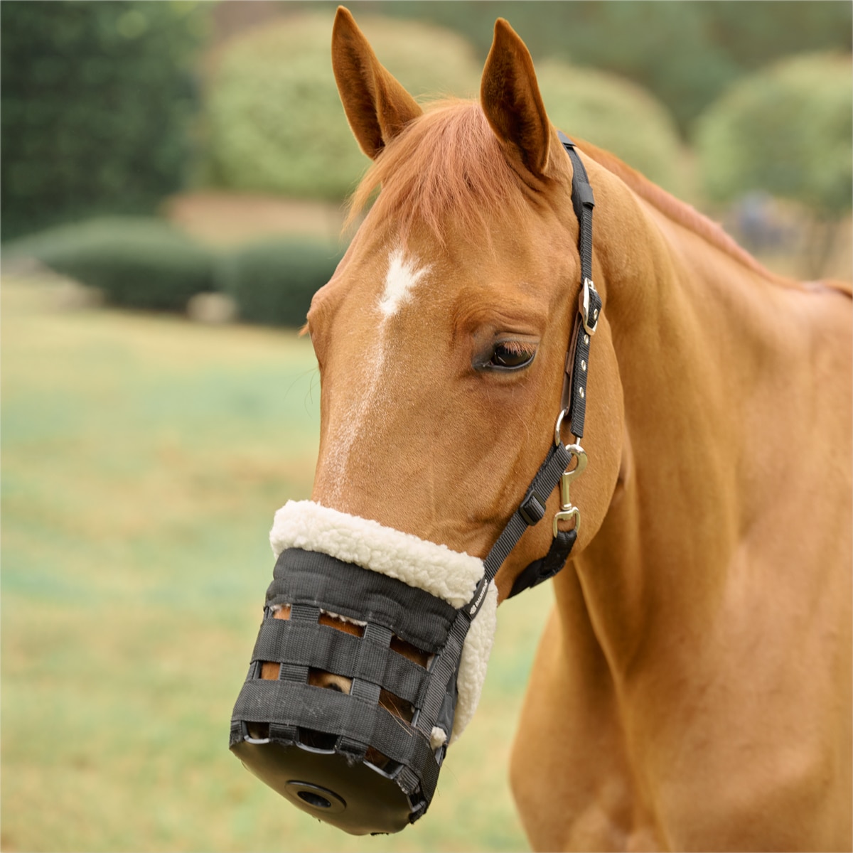 SmartPak Deluxe Grazing Muzzle