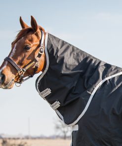 Amigo&reg; Stock Horse Hood