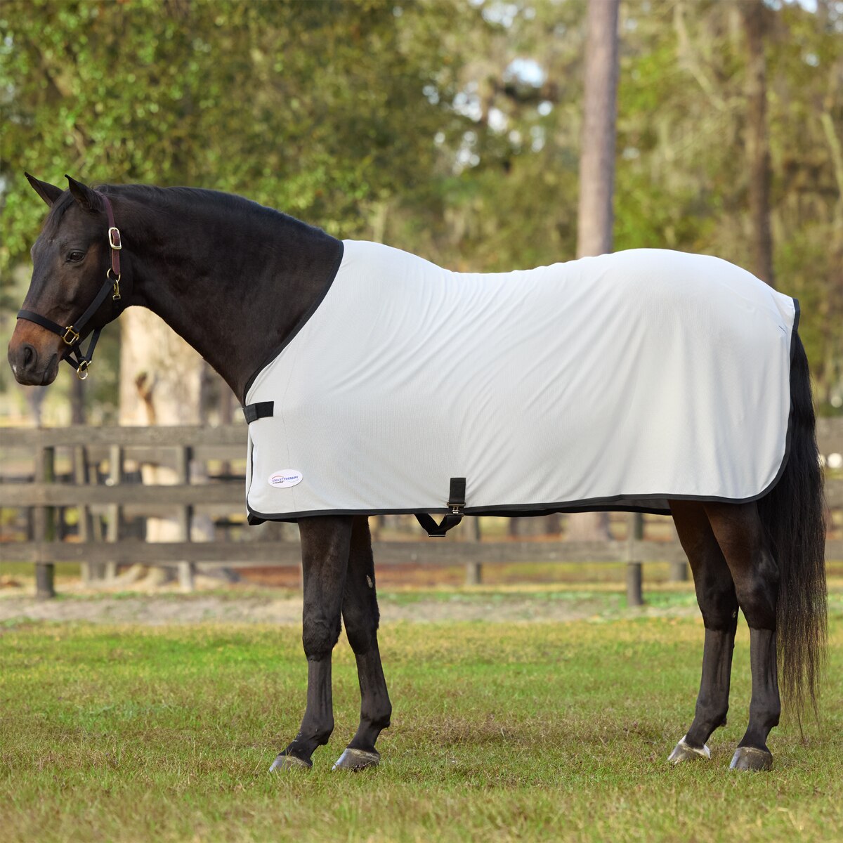 SmartTherapy® ThermoBalance® Stretch Scrim - Image 2