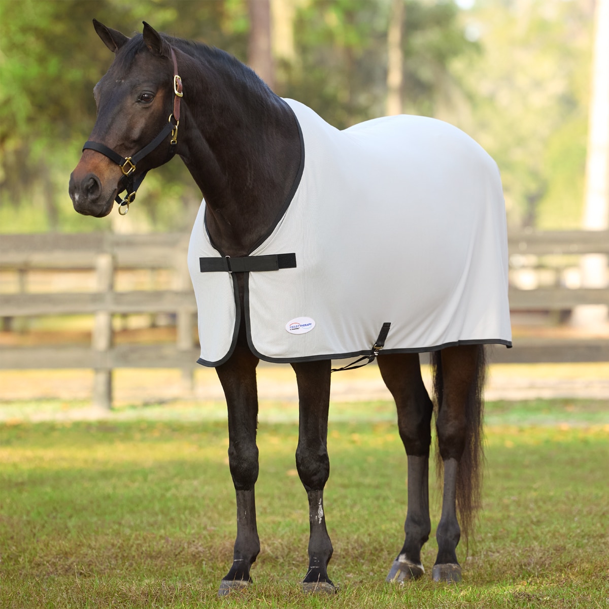 SmartTherapy® ThermoBalance® Stretch Scrim
