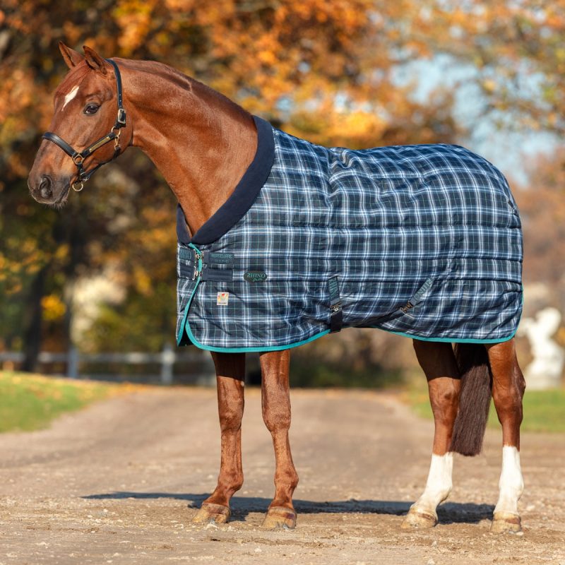 Horse wearing a stable blanket