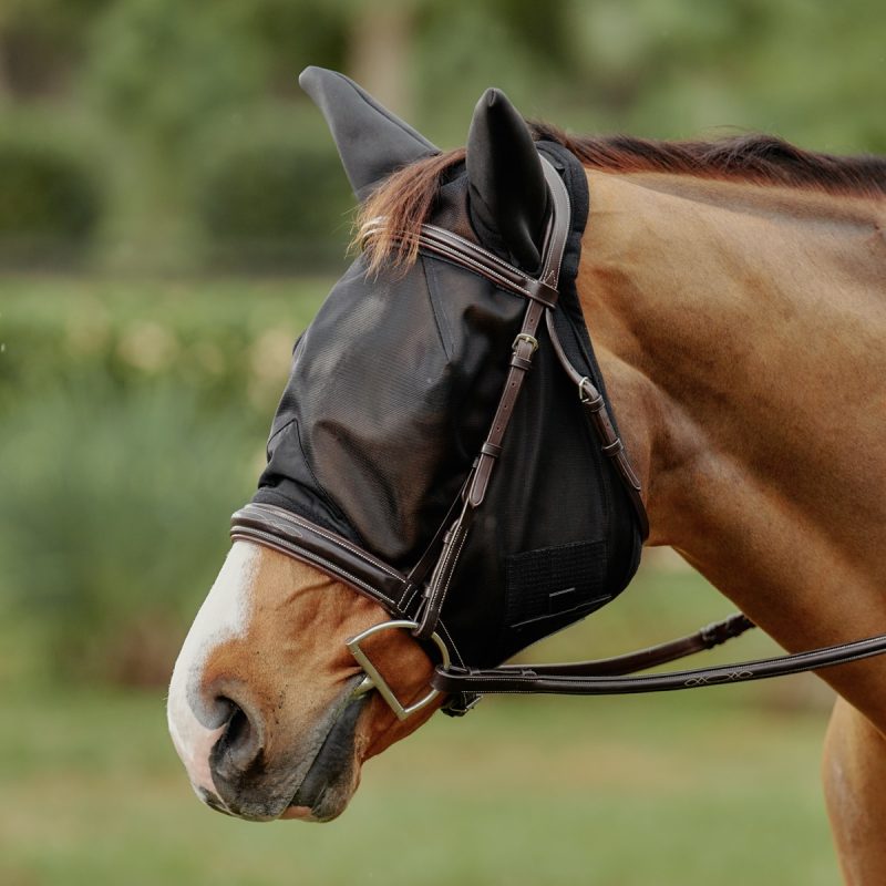 Horse wearing a fine-mesh fly mask