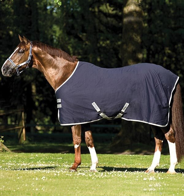Amigo Stable Sheet - Image 3