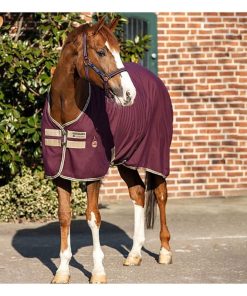 Alternative view of Amigo Stable Sheet