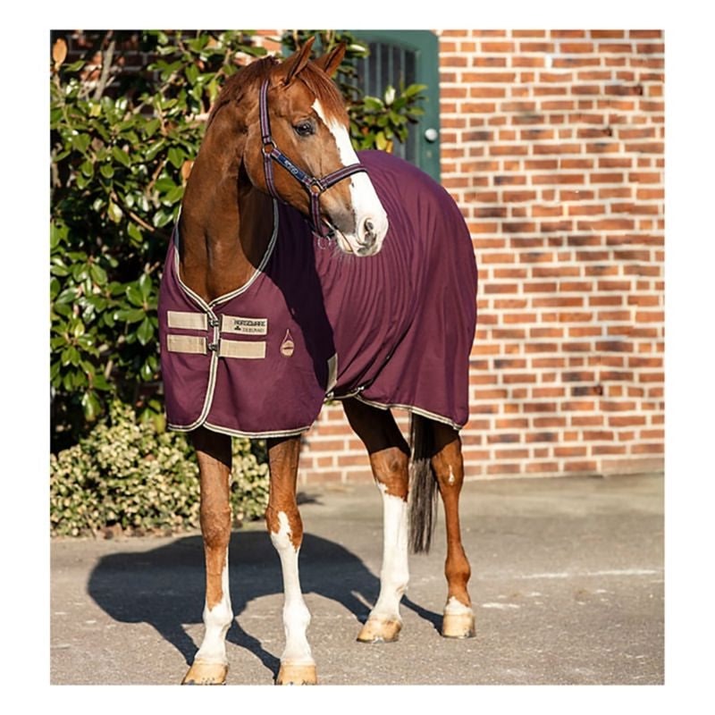 Amigo Stable Sheet - Image 2