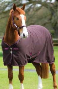 Amigo Stable Sheet - Image 17