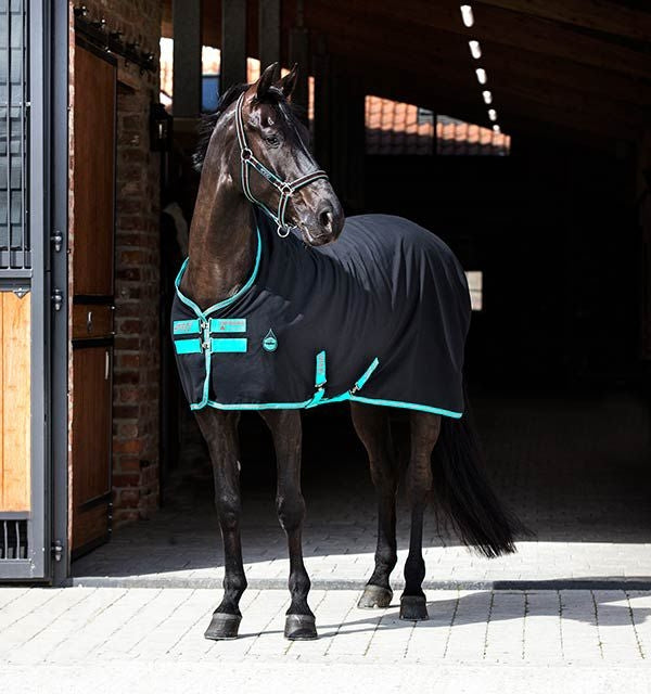 Amigo Stable Sheet - Image 14