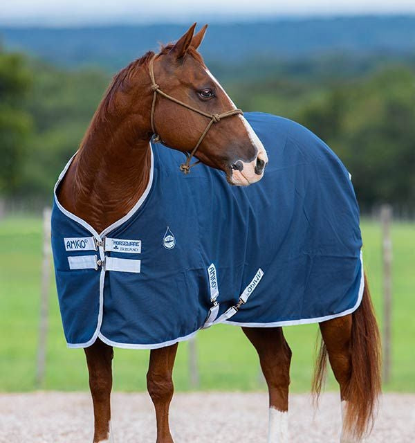 Amigo Stable Sheet - Image 6