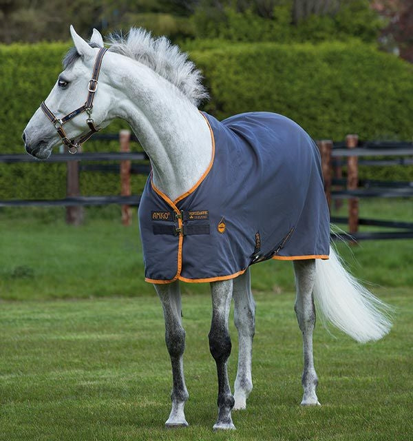 Amigo Stable Sheet - Image 9