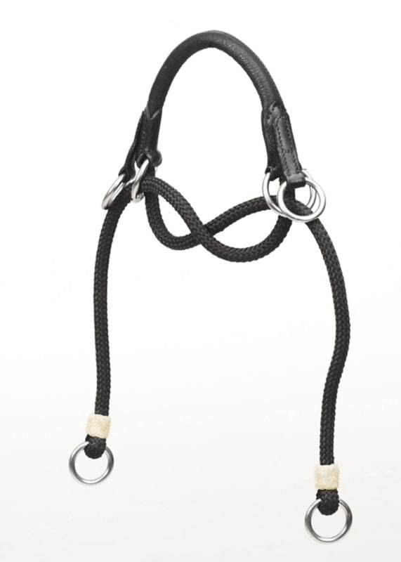 Bitless Noseband