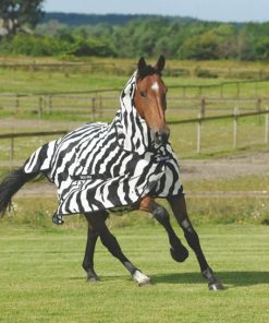 Alternative view of Bucas Zebra Fly Sheet