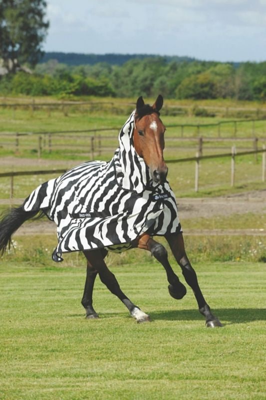 Bucas Zebra Fly Sheet - Image 2