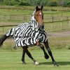 Bucas Zebra Fly Sheet