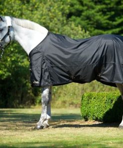 Back on Track Therapeutic Turnout Sheet