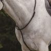 Collegiate Raised Standing Martingale