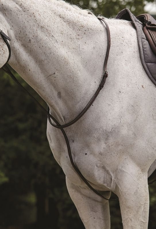 Collegiate Raised Standing Martingale