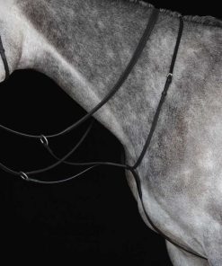 Alternative view of Collegiate Running Martingale