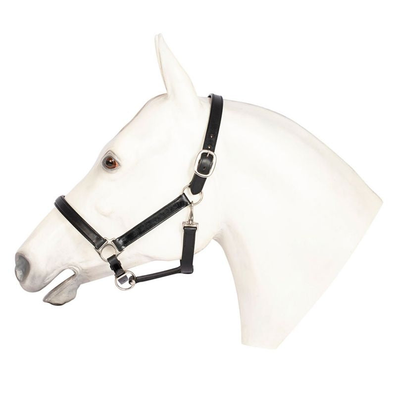 Henri De Rivel Everyday Black Halter - Image 2