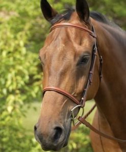 Alternative view of Henri de Rivel Advantage Flat Laced Reins
