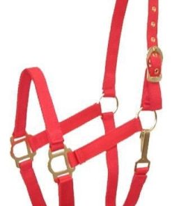 Gatsby Adj Nylon Halter/Snap