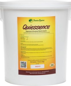 Alternative view of Foxden Equine Quiessence