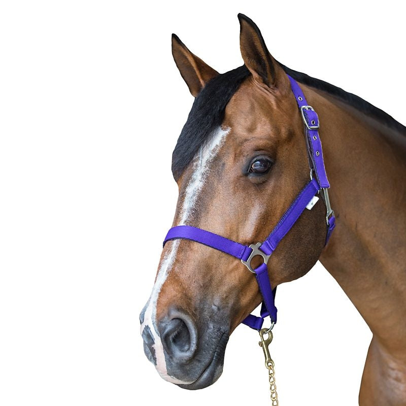 Gatsby Nylon Safety Breakaway Halter - Image 11