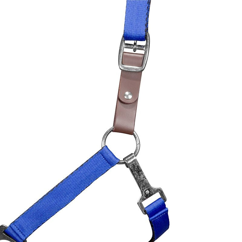 Gatsby Nylon Safety Breakaway Halter - Image 12