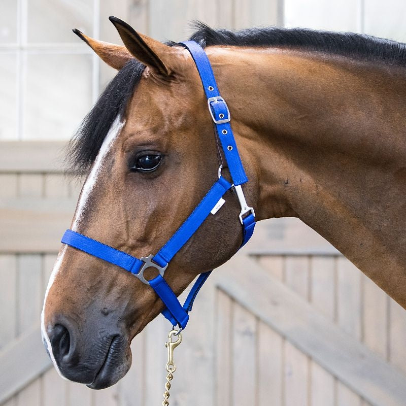 Gatsby Nylon Safety Breakaway Halter - Image 13