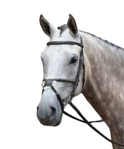 Collegiate Essential Fancy Figure 8 Bridle