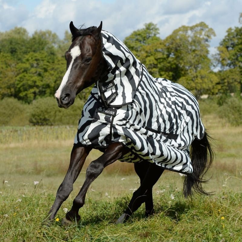 Bucas Sweet Itch Zebra Full Neck Sheet 60 Zebra - Image 4