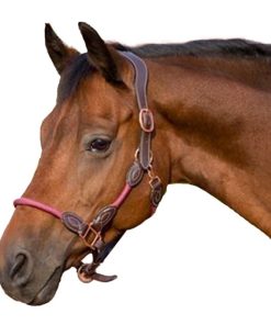 Henri de Rivel Leather Rope Halter