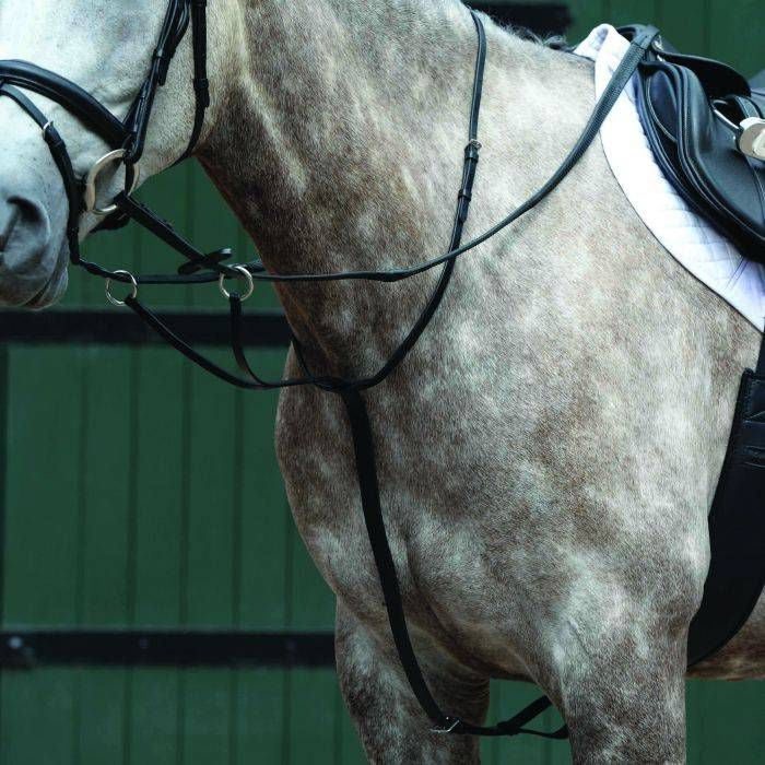 Collegiate Essential Flat Martingale - Image 3