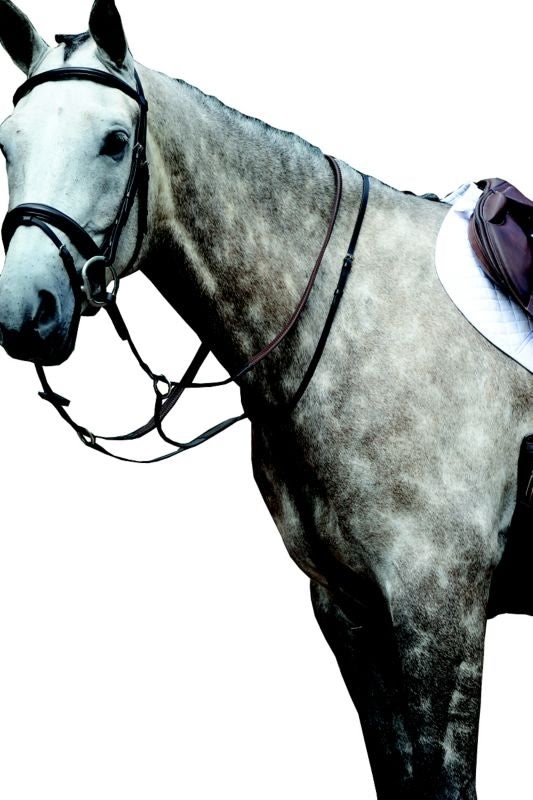 Collegiate Essential Flat Martingale - Image 2