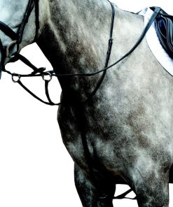 Collegiate Essential Flat Martingale