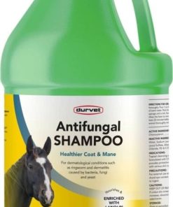 Durvet Antifungal Equine Shampoo 1 Gallon
