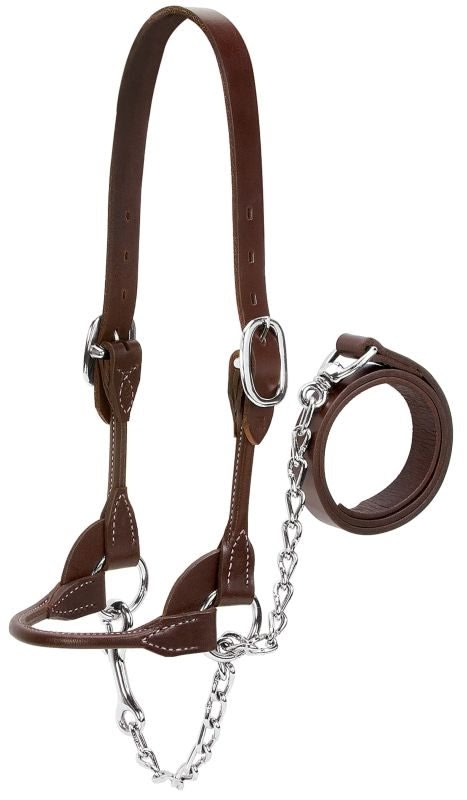 Dairy Beef Rounded Show Halter - Image 2